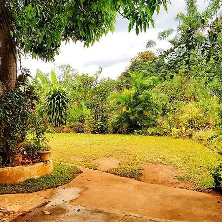 Suisse Villa Kandy Esterno foto