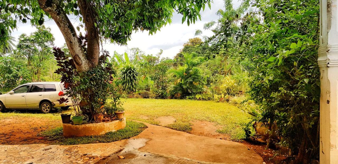 Suisse Villa Kandy Esterno foto