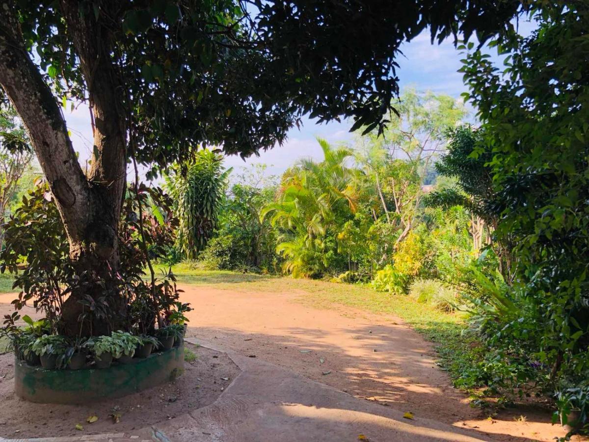 Suisse Villa Kandy Esterno foto